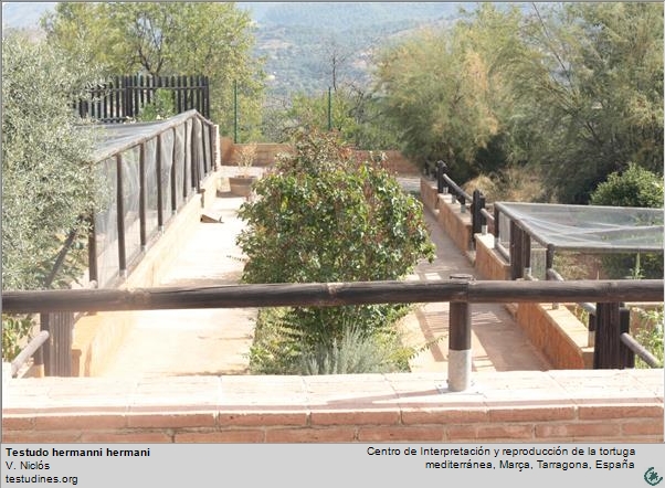 Centro de conservacion y reproduccion de tortuga mediterranea