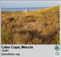 Cabo Cope, Murcia, tortuga mora
