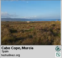 Cabo Cope, Murcia, tortuga mora