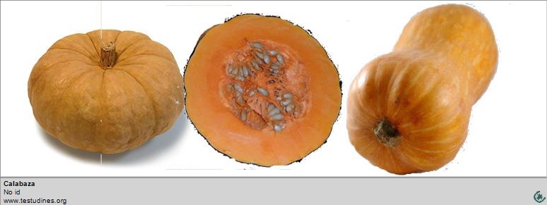 Calabaza buñuelos